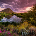 Exploring Budget-Friendly Eateries in Maricopa County, AZ