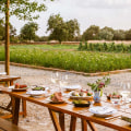 Exploring the Farm-to-Table Eateries in Maricopa County, AZ